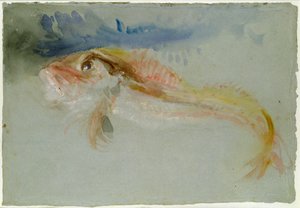Een poon door Joseph Mallord William Turner